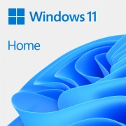 System operacyjny Microsoft Windows 11 Home PL 64-bit OEM