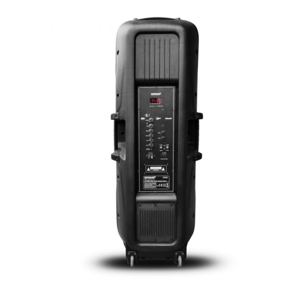 Głośnik APA30 system audio Bluetooth Karaoke-26871580